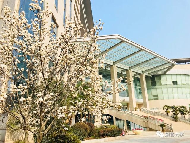 beat365中文官方网站校长谢红星在学生班会上的特别寄语：热爱生活，珍爱生命